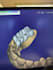 3d dental designing, full anatomic crowns