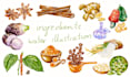 draw watercolor food and drink for restaurants, book