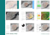 make architecture site analysis, mapping and site plan