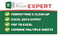 do data entry at ms excel