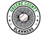design awesome baseball logo