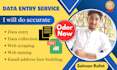 be a data entry expert for excel