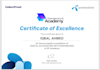 do accounting , bookkeeping in quick books online, excel