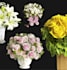 retouch and edit images in 24 hrs