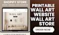 build wall art shopify store wall art  website wall art store home decor website