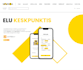 design professional UX UI for websites and mobile apps