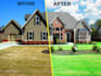 replace blue sky, green grass professionally fast turnaround