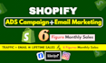 shopify klaviyo email marketing and meta ads for shopify dropshipping store