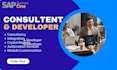be your sap business one consultant and sap developer