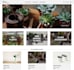 build a custom ecommerce website for plant nursery and garden businesses