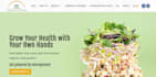 build ecommerce wordpress website with woocommerce, online store