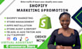 clone, revamp, redesign shopify store website or build ecommerce shopify website