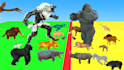 make 3d animals battle video