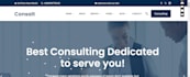 responsive wordpress website development and optimization