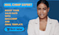 setup mailchimp newsletter,  email marketing campaign