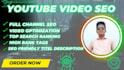 do the best youtube video SEO expert optimization and promotion channel