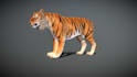 3d animal model, animal animation, 3d fur, 3d animal rigging