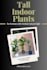 create and schedule custom pin on pinterest