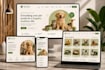 high converting shopify store design, redesign, and customization,shopify expert