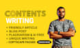 write high quality articles and blog posts with images