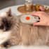 create cat product photos and ugc video ads