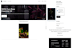 design wordpress website, design or redesign wordpress blog