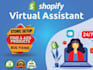 create your shopify store with expert design and strategy, banner