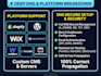 connect domain to website, fix dns issues, and setup business email fix