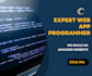 be your web programmer, web application, web app programmer
