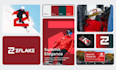 create premium brand guidelines and a complete brand book