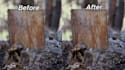 upscale and enhance your video up to 4k using topaz ai