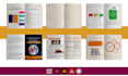 design unique PDF lead magnet, ebook, workbook or brochures