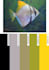find pantone and hex codes of any color or design