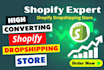 build high converting automated dropshipping shopify store
