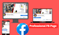 create and setup professional  facebook business page