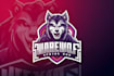 do custom sports logo design