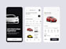develop carpooling app, car rental app, fleet management app