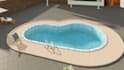 provide professional swimming pool and landscape design