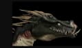 3d dragon model, 3d animal design,3d monster, alien creature 3d realistic models