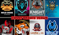 develop igaming website, esport, tournament website, fantasy sport app