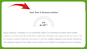 edit, rewrite and humanize ai, chatgpt articles, content