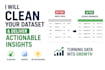clean your dataset and deliver actionable business insights