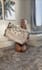 create ugc content for your home decor and furniture