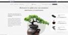 develop woocommerce dropshipping store with winning products