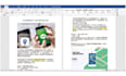 write professional SEO articles
