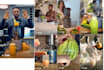 create and manage your influencer marketing campaign