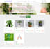 design and develop HTML, CSS, and javascript websites