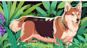 draw dog animal pets cartoon portrait vector art