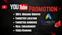 do youtube video promotion for your aimed  audience
