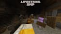 edit your minecraft video for you